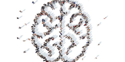 Large collection of people grouped together to form a brain icon