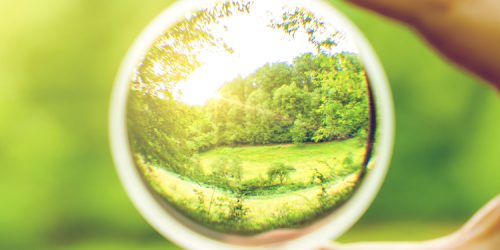 Clear view through contact lense on nature